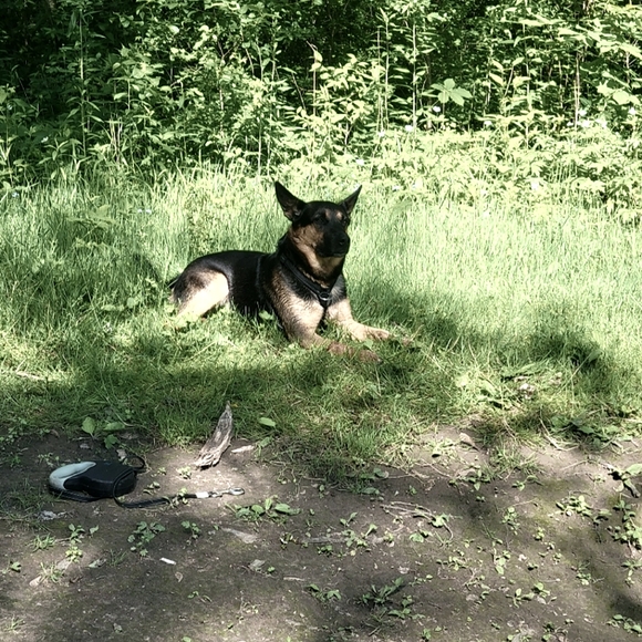 Meet your Poshers, Los Carmenatty - Picture 16 of 16